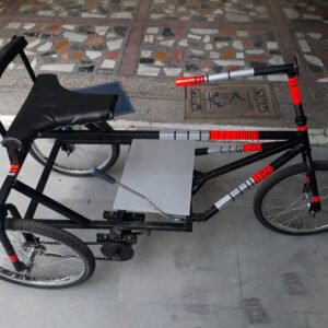 Tricycle with reciprocating lever to power